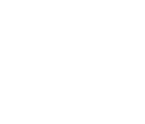 Solid Navbar logo