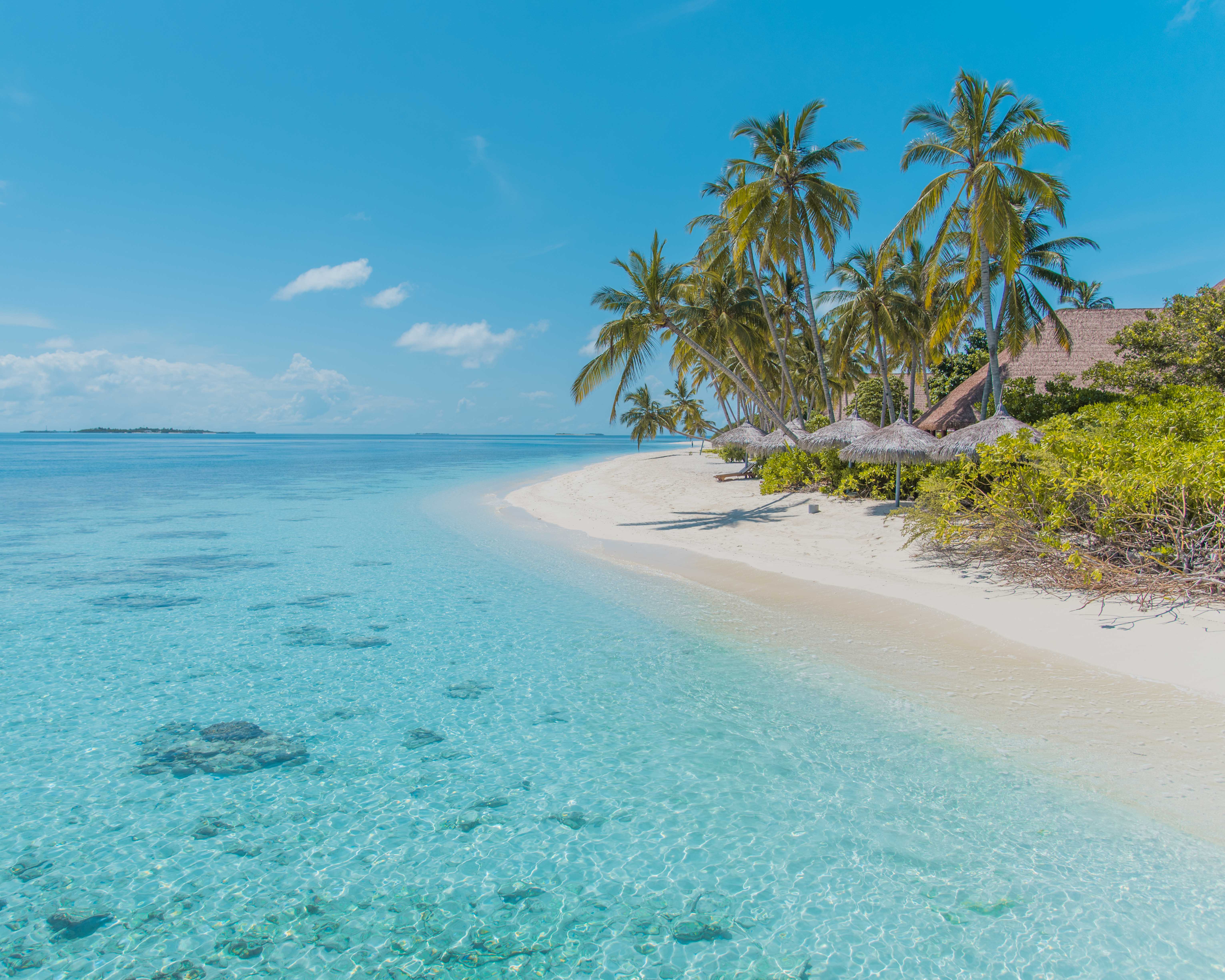 Reethi faru. Рети фару Резорт. Reethi Faru Resort 5 Мальдивы. Раа.